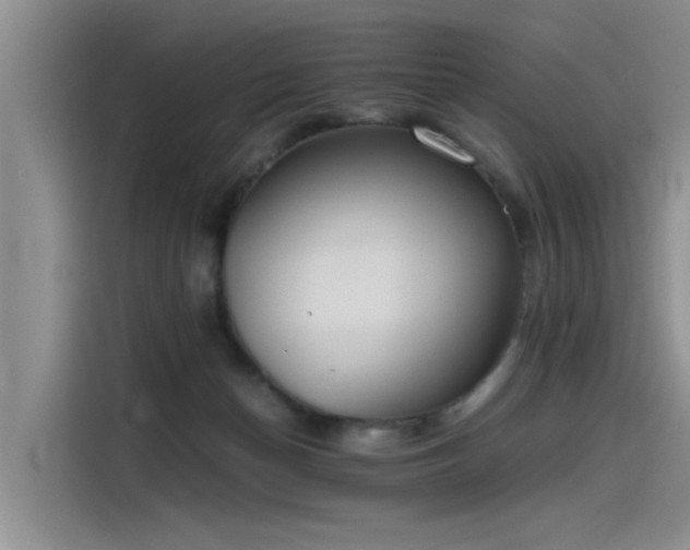 X0000115480174200911131223