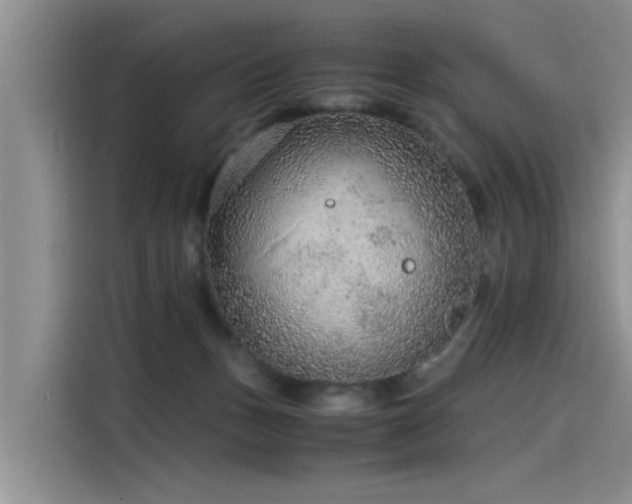 X0000115480175200911131223