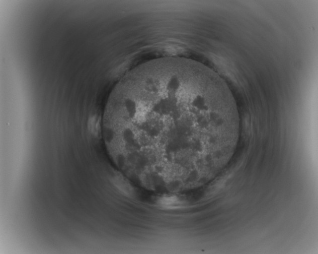 X0000115480177200911131223