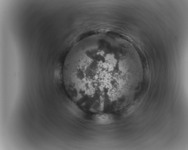 X0000115480181200911131223