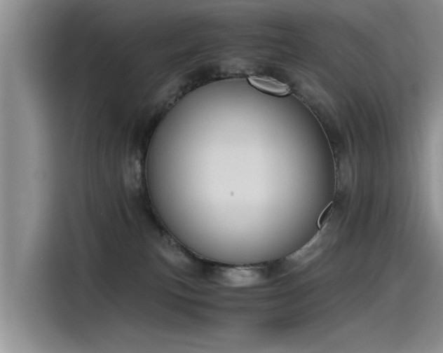 X0000115480183200911131223