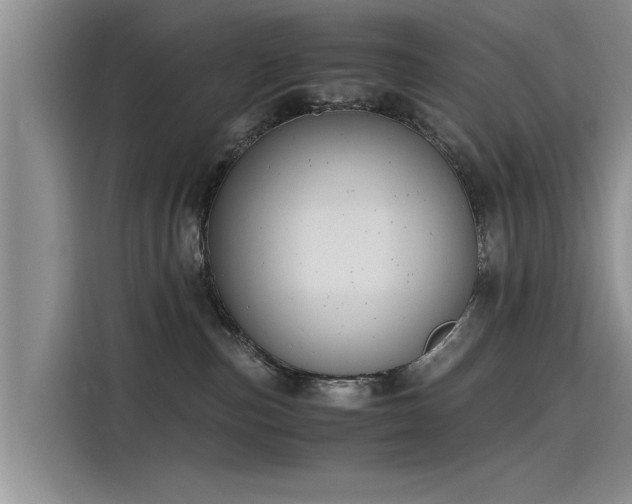 X0000115480187200911131223