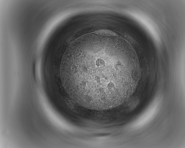 X0000115480189200911131223