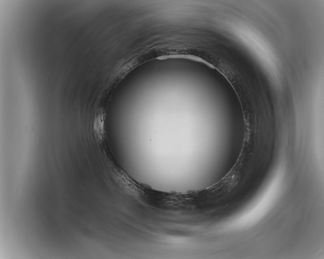 X0000115480190200911131223