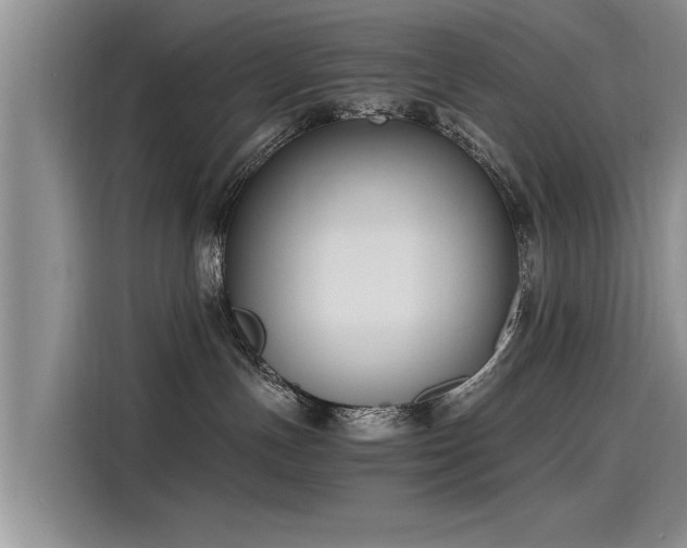 X0000115480191200911131223