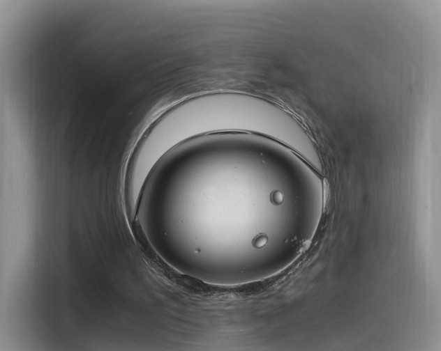 X0000115480195200911131222