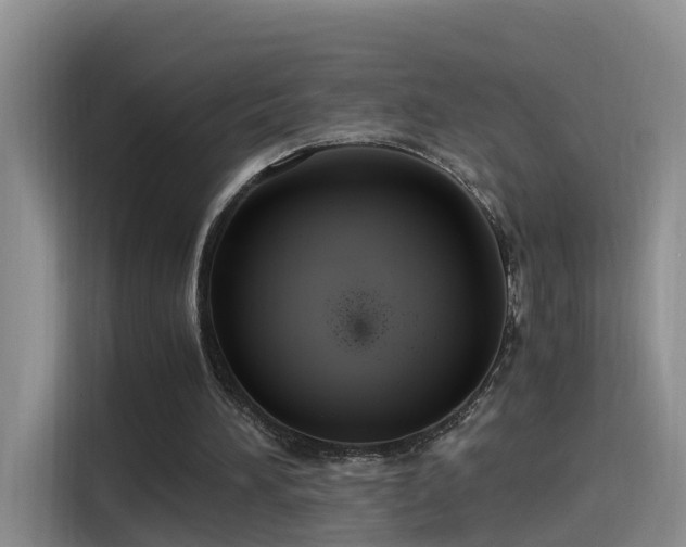 X0000115480196200911131222