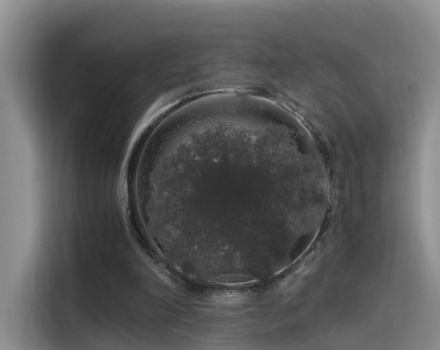 X0000115480198200911131222