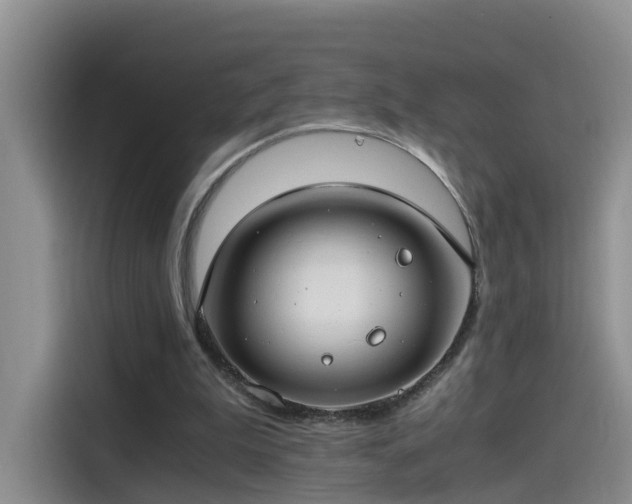 X0000115480199200911131222