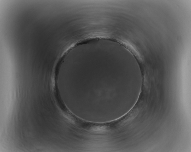 X0000115480202200911131222