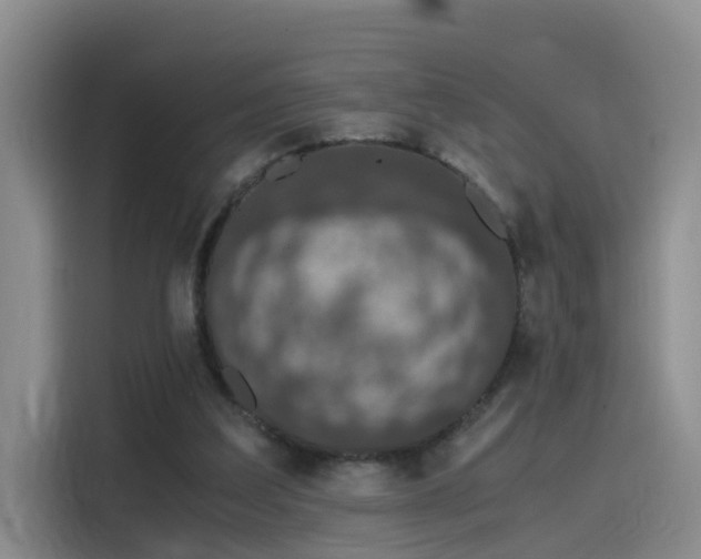 X0000115480203200911131222