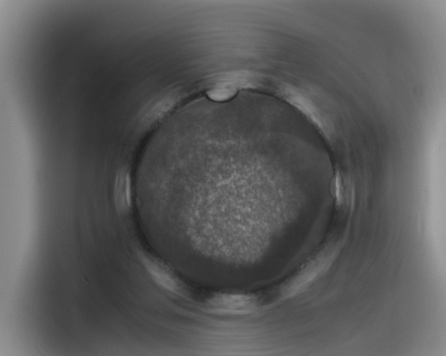 X0000115480205200911131222