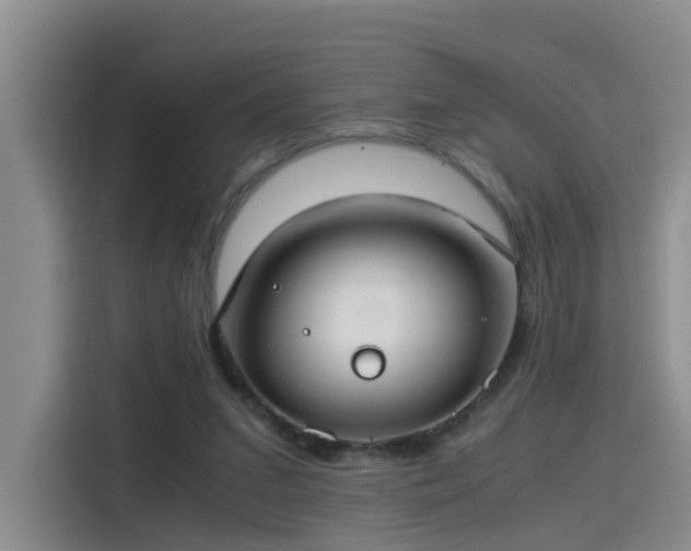 X0000115480207200911131222