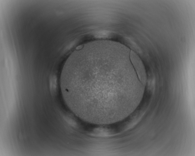 X0000115480211200911131222