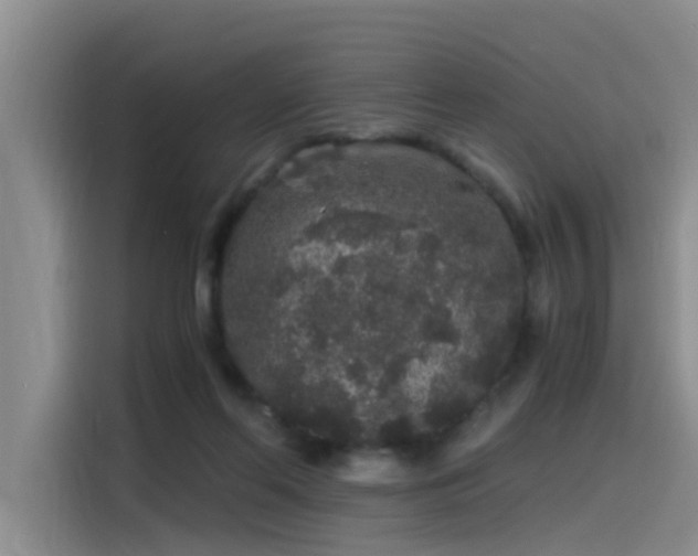 X0000115480214200911131222