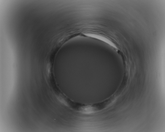 X0000115480219200911131222