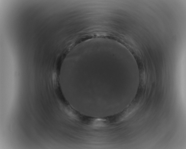 X0000115480222200911131222