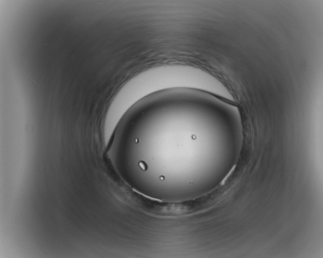 X0000115480225200911131222