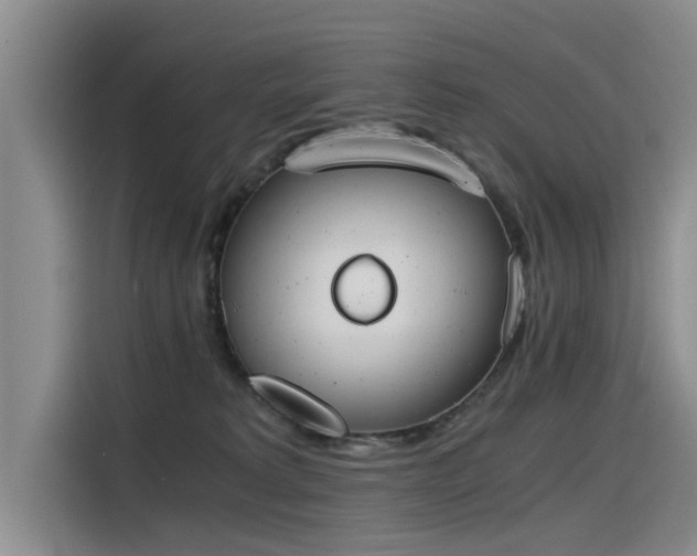 X0000115480229200911131222