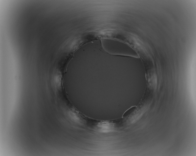 X0000115480231200911131222