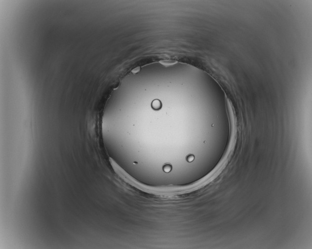 X0000115480233200911131222