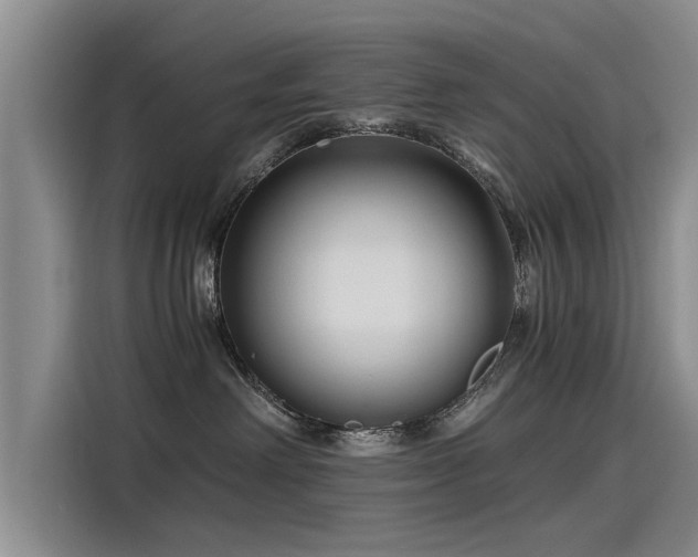 X0000115480238200911131222