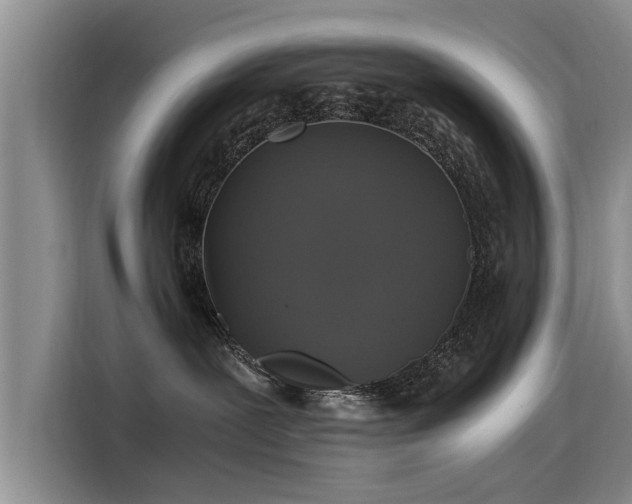 X0000115480239200911131222