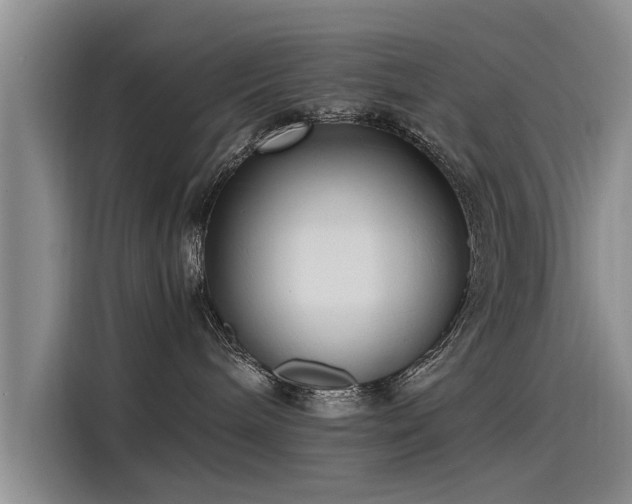 X0000115480240200911131222