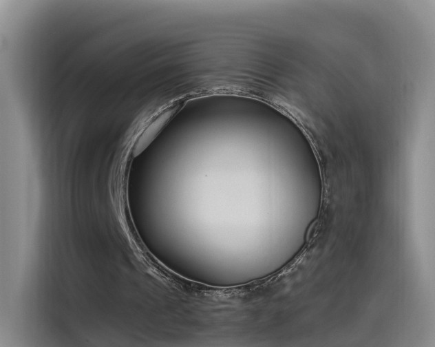 X0000115480241200911131221