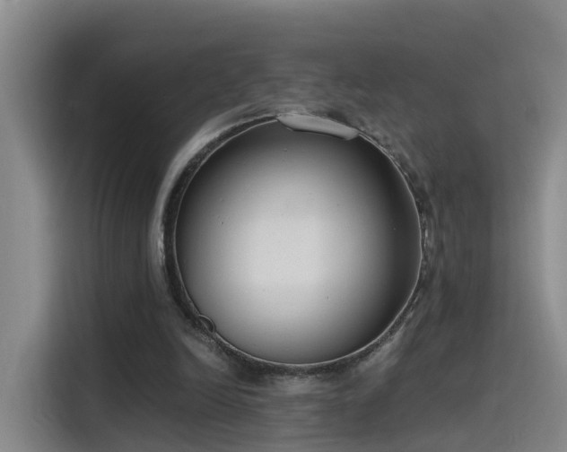 X0000115480246200911131221