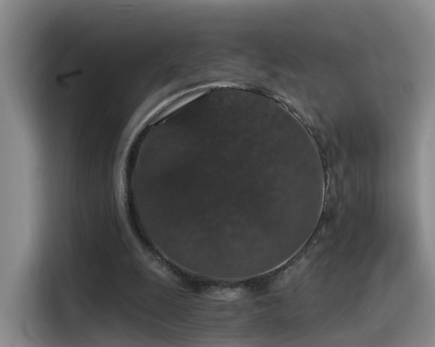 X0000115480247200911131221