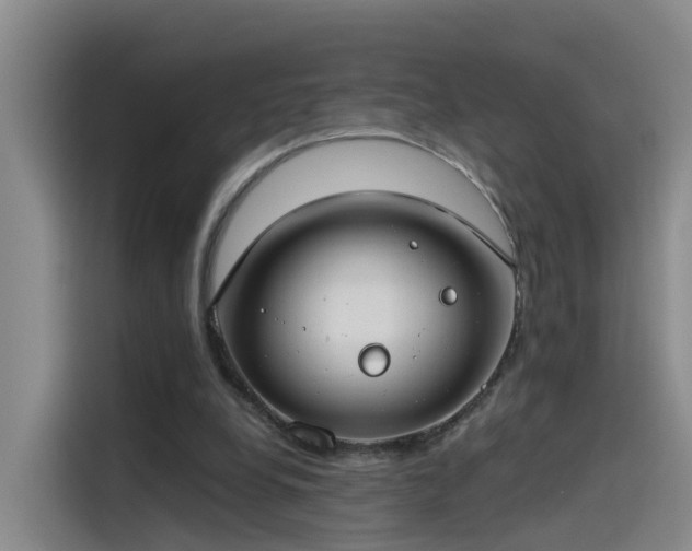 X0000115480248200911131221