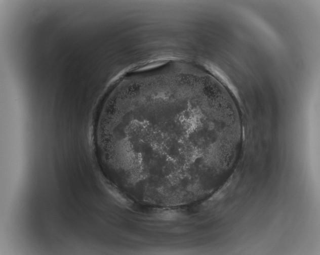 X0000115480249200911131221