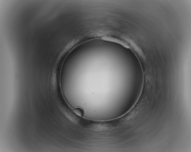 X0000115480250200911131221