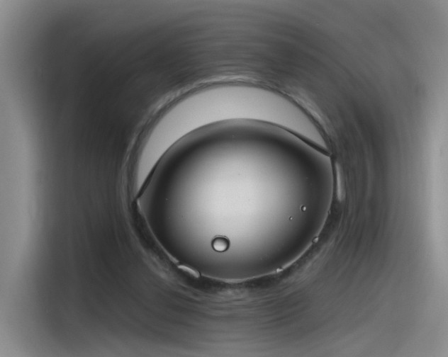 X0000115480252200911131221