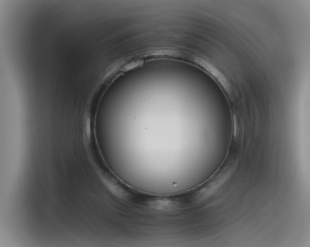 X0000115480253200911131221