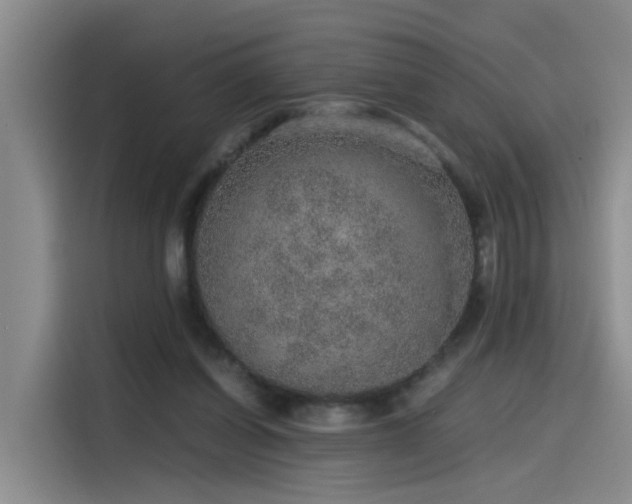 X0000115480254200911131221