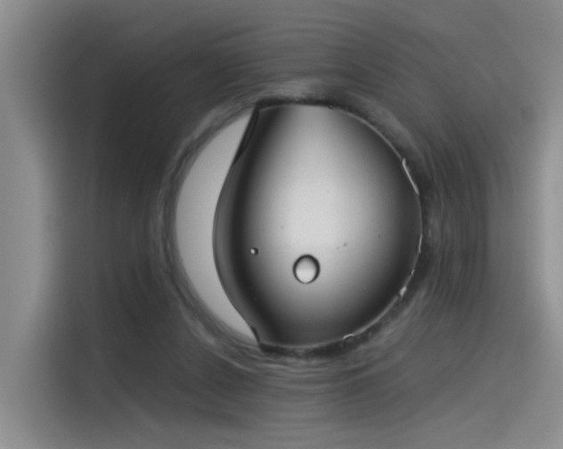 X0000115480256200911131221