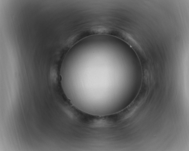 X0000115480259200911131221