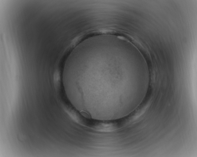 X0000115480260200911131221