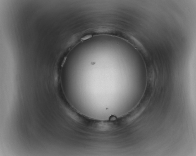 X0000115480261200911131221