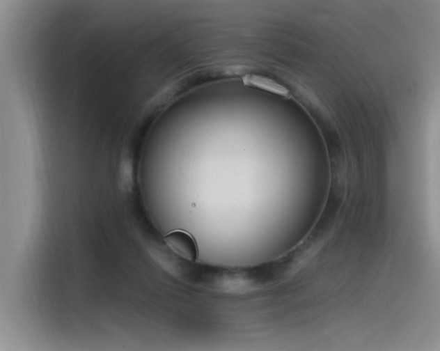 X0000115480262200911131221