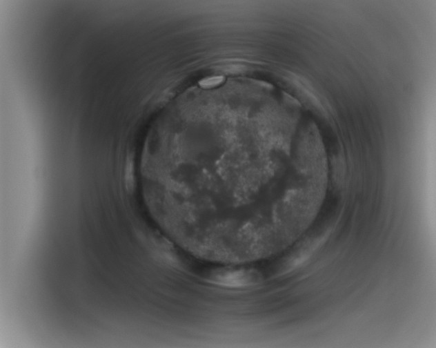 X0000115480267200911131221