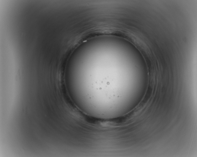 X0000115480268200911131221