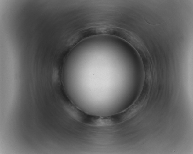 X0000115480270200911131221