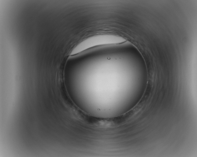 X0000115480272200911131221