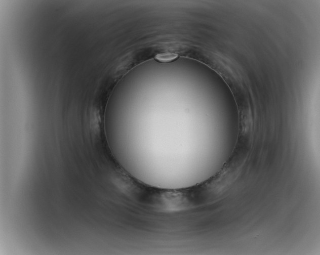 X0000115480279200911131221