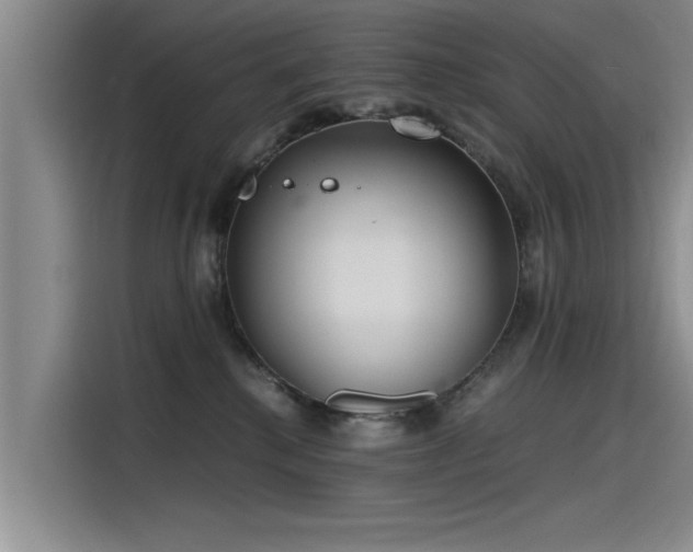 X0000115480280200911131221