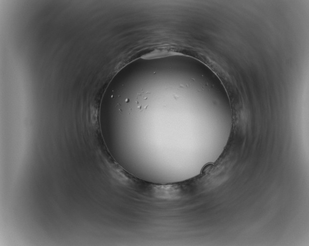 X0000115480281200911131221