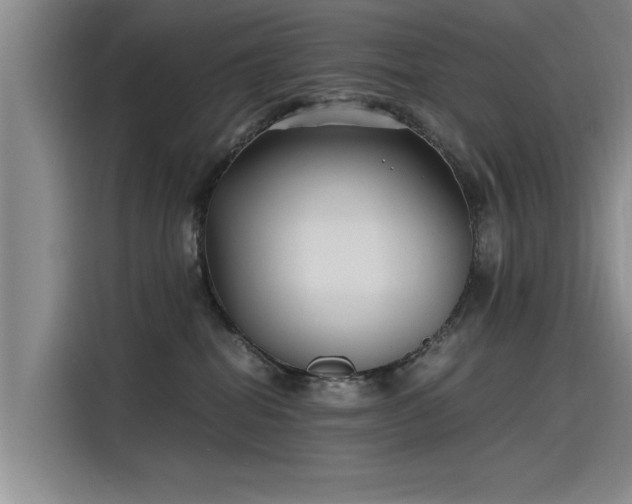 X0000115480282200911131221